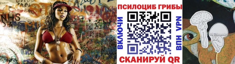 закладки  Дмитров  Псилоцибиновые грибы MAGIC MUSHROOMS 